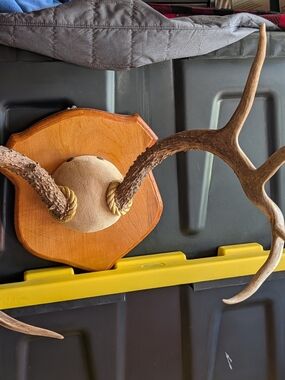 Artisan Brown Antler Wall Mount with Wood Plaque